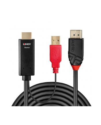 Lindy 41425 Kabel HDMI Display Port 1.2 z USB zasilającym 1m (ly41425)