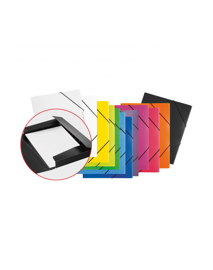 Pagna Teczka Z Gumką A4, Przezroczysta Pp P2161319 główny