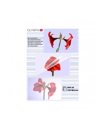 Olympia DIN A4 125 micron 9176