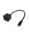Techly Splitter 2x HDMI  (ICOCHDMIF002) - nr 1