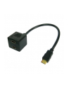 Techly Splitter 2x HDMI  (ICOCHDMIF002) - nr 2