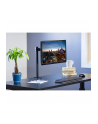 Techly ICA-LCD 503BK uchwyt do monitora 81,3 cm (32'') Zacisk Czarny - nr 16