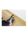 Bosch Brzeszczot HCS do cięcia wgłębnego AIZ 32 EC Wood S: 32 z: 40 2608661637 - nr 3