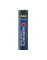 AgfaPhoto Batterij LR03 AAA (10) (110803968) - nr 2
