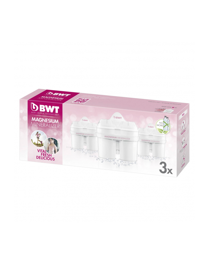 BWT Filtry Mg2 główny