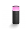 Philips Hue White and Color Ambiance Calla czarny 1742030P7 - nr 20