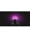 Philips Hue White and Color Ambiance Calla czarny 1742030P7 - nr 28