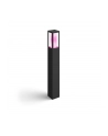 Philips Hue  White and Color Ambiance Impress czarny 1743230P7 - nr 11