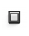 Philips Hue  White and Color Ambiance Econic czarny 1743830P7 - nr 20
