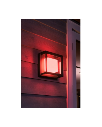 Philips Hue  White and Color Ambiance Econic czarny 1743830P7