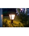 Philips Hue  White and Color Ambiance Econic czarny 1744130P7 - nr 5