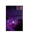 Philips Hue  White and Color Ambiance Econic czarny 1744130P7 - nr 7