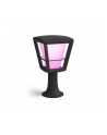 Philips Hue  White and Color Ambiance Econic czarny 1744130P7 - nr 9