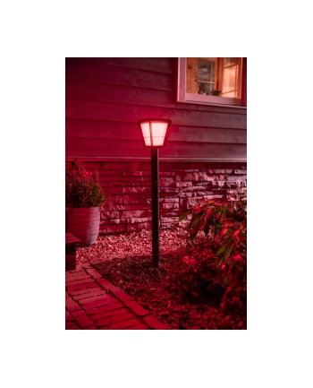 Philips Hue White and Color Ambiance Econic czarny 1744230P7