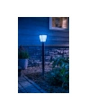 Philips Hue  White and Color Ambiance Econic czarny 1744230P7 - nr 5