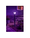 Philips Hue  White and Color Ambiance Econic czarny 1744230P7 - nr 6