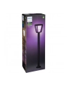 Philips Hue  White and Color Ambiance Econic czarny 1744230P7 - nr 7