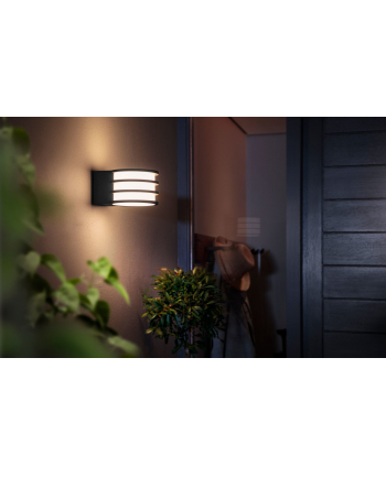 Philips Hue  White Ambiance Lucca czarny 1740193P0 nr 1
