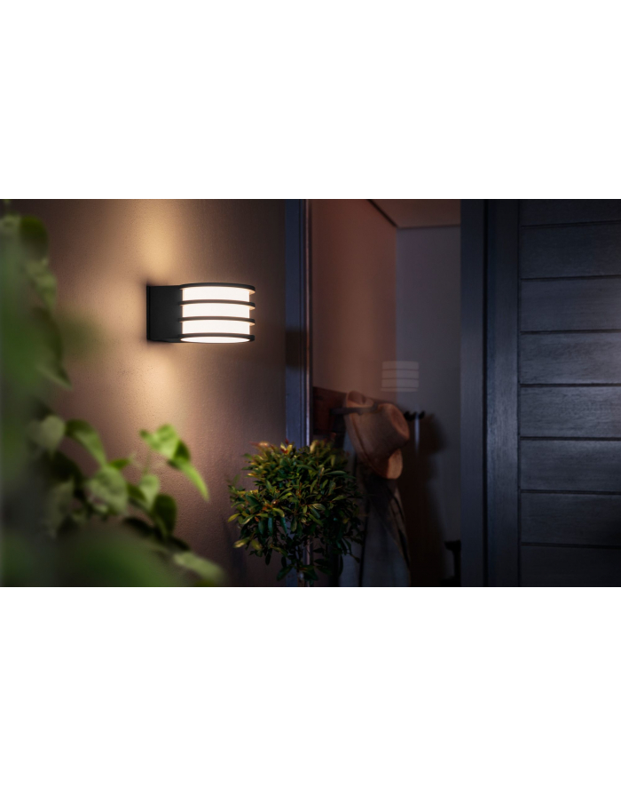 Philips Hue  White Ambiance Lucca czarny 1740193P0 główny