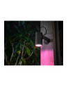 Philips Hue White and Color Ambiance Lily czarny 1741530P7 - nr 15