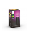 Philips Hue White and Color Ambiance Calla czarny 1742030P7 - nr 7