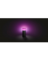 Philips Hue White and Color Ambiance Calla czarny 1742030P7 - nr 8