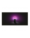 Philips Hue White and Color Ambiance Calla czarny 1742030P7 - nr 18