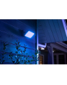 Philips Hue White and Color Ambiance Discover czarny 1743530P7 - nr 18