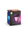 Philips Hue  White and Color Ambiance Econic czarny 1744030P7 - nr 3