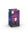 Philips Hue  White and Color Ambiance Econic czarny 1744130P7 - nr 3