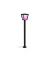 Philips Hue  White and Color Ambiance Econic czarny 1744230P7 - nr 14