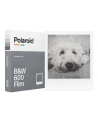 Wkłady do aparatu POLAROID B&W (8 zdjęć) - nr 13