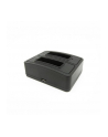 EasyPix GoXtreme Battery Charge for Rally(1491) - nr 5