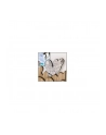 ZEP Romina 13x18 drewniana (HP657) - nr 2