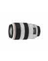 Obiektyw Canon EF 70-300 IS USM - nr 6