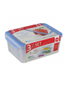 Emsa CLIP & CLOSE 3 PACK Pojemnik na żywność niebieski 508567 - nr 5