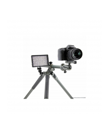 Vanguard Alta Pro 2+ (263AB100)