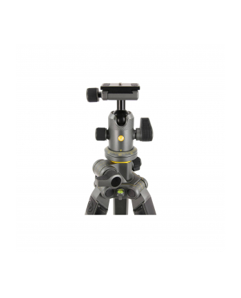 Vanguard Alta Pro 2+ (263AB100)