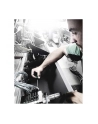 Wera precyzyjne Torx 6cz. +stojak Kraftform Micro 2067/6 (05118154001) - nr 13