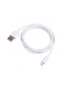 AKYGA Cable USB AK-USB-30 USB A m / Lightning m 1.0m - nr 1