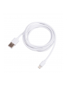 AKYGA Cable USB AK-USB-31 USB A m / Lightning m 1.8m - nr 1