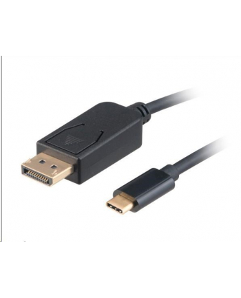 Akasa Kabel Akasa Adaptér USB Type-C na DisplayPort, kabel, 1.8m (AKCBCA1118BK)