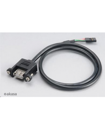 Akasa KABEL USB 2.0 ADAPTER (AK-CBUB06-60BK)