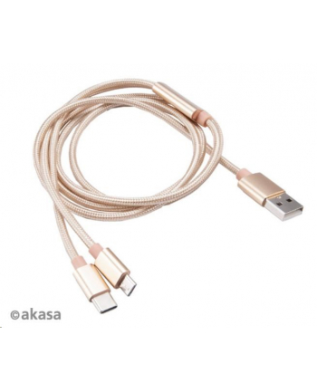 Akasa Kabel USB Akasa 2.0 Typ-A do Micro / Type-C (AKCBUB4212GL)