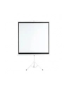 Płótno Aveli stativ 213x213cm (XRT-00184) (XRT-00184) - nr 9