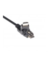 Club 3D HDMI - HDMI 2m Czarny (CAC-1360) - nr 34