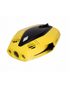 Chasing Dory (112553) - nr 1
