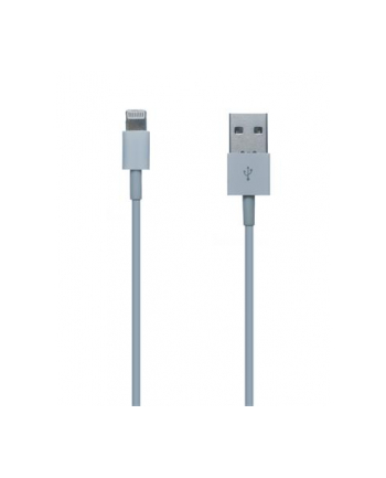Connect IT przewód Wirez Apple Lightning - USB, biały, 1m (CI-159)