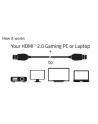 Club 3D Kabel HDMI 4K 1m (CAC-1311) - nr 33
