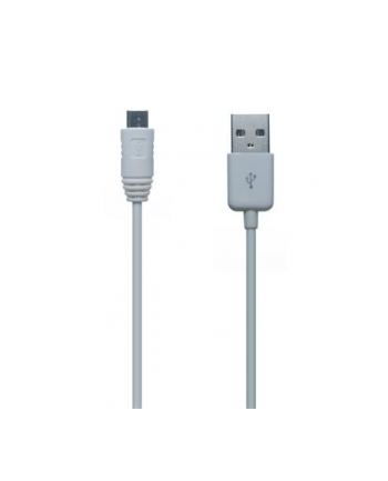 Connect IT Wirez USB/micro USB, 1m (CI-146) Biały